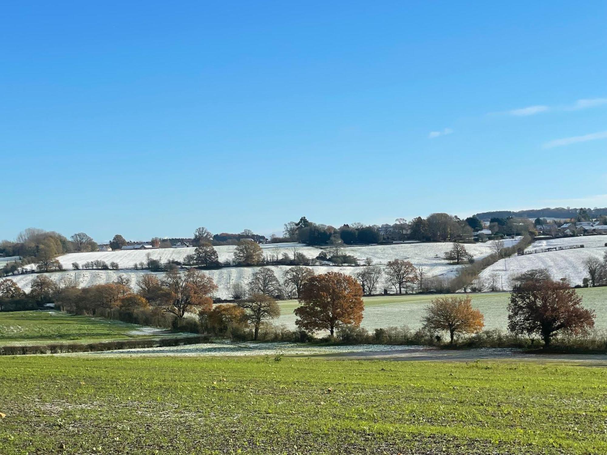 Bank Cottage Studio - Luxury Cotswolds Haven For Two Shipston-on-Stour Buitenkant foto